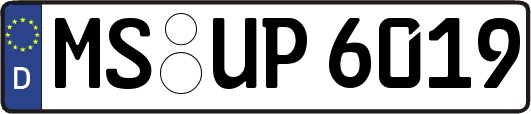 MS-UP6019