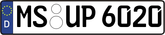 MS-UP6020