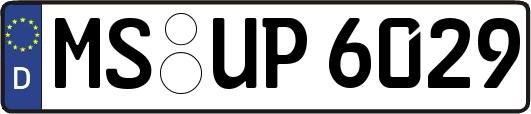 MS-UP6029