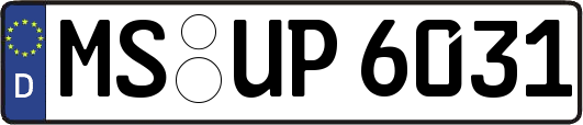 MS-UP6031