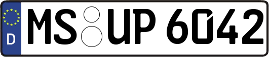 MS-UP6042