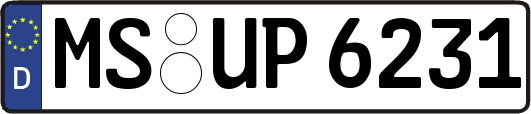 MS-UP6231