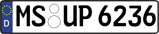 MS-UP6236