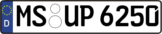 MS-UP6250