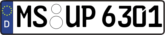 MS-UP6301
