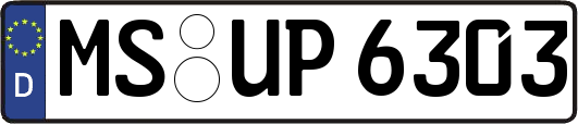 MS-UP6303