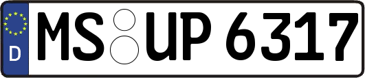 MS-UP6317
