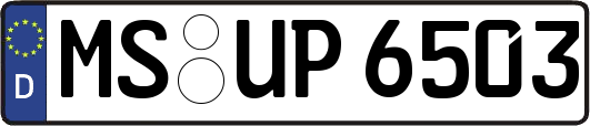 MS-UP6503
