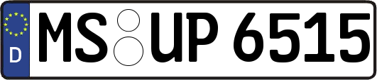 MS-UP6515