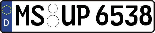 MS-UP6538