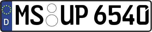 MS-UP6540