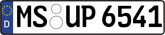 MS-UP6541