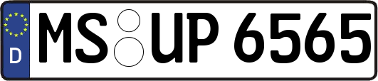 MS-UP6565