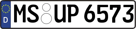 MS-UP6573
