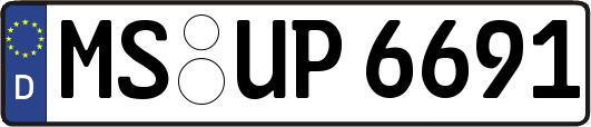 MS-UP6691