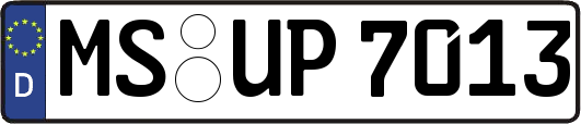 MS-UP7013