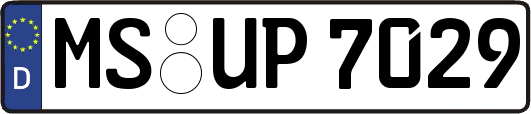 MS-UP7029