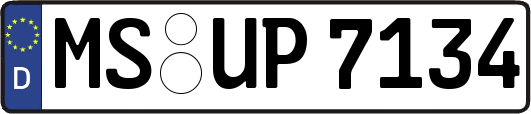 MS-UP7134