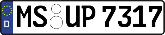 MS-UP7317