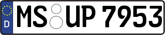 MS-UP7953