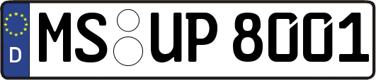 MS-UP8001