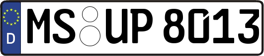 MS-UP8013