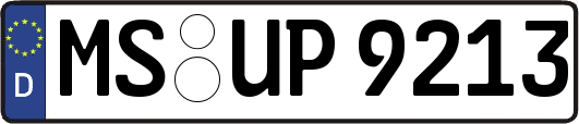 MS-UP9213
