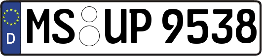 MS-UP9538