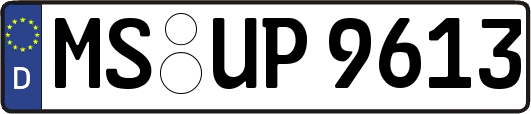 MS-UP9613