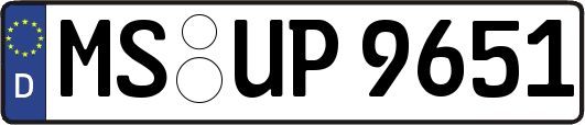 MS-UP9651
