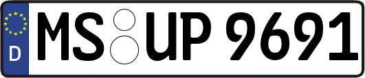 MS-UP9691