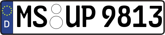 MS-UP9813