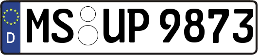 MS-UP9873
