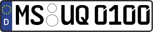 MS-UQ0100