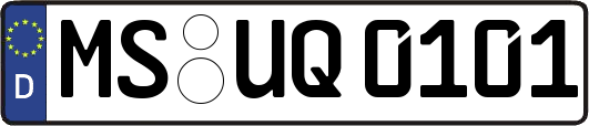 MS-UQ0101