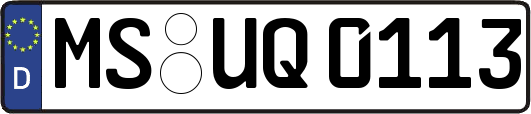 MS-UQ0113