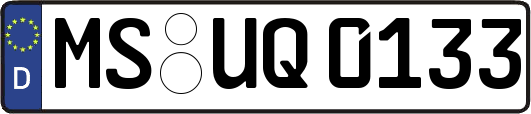 MS-UQ0133