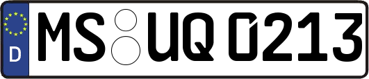 MS-UQ0213