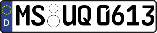 MS-UQ0613