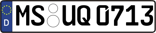 MS-UQ0713