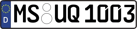 MS-UQ1003
