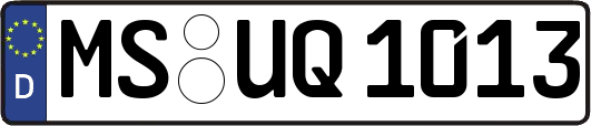 MS-UQ1013