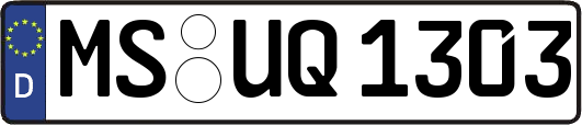 MS-UQ1303