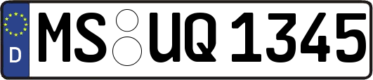 MS-UQ1345