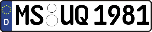 MS-UQ1981