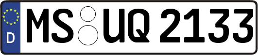 MS-UQ2133