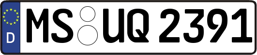 MS-UQ2391