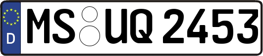 MS-UQ2453