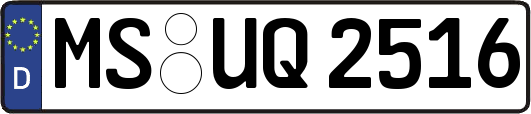 MS-UQ2516