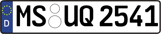 MS-UQ2541